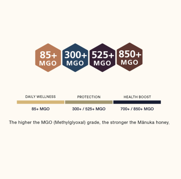Manuka Honey & Lemon Multifloral 85+MGO 500g - Image 2